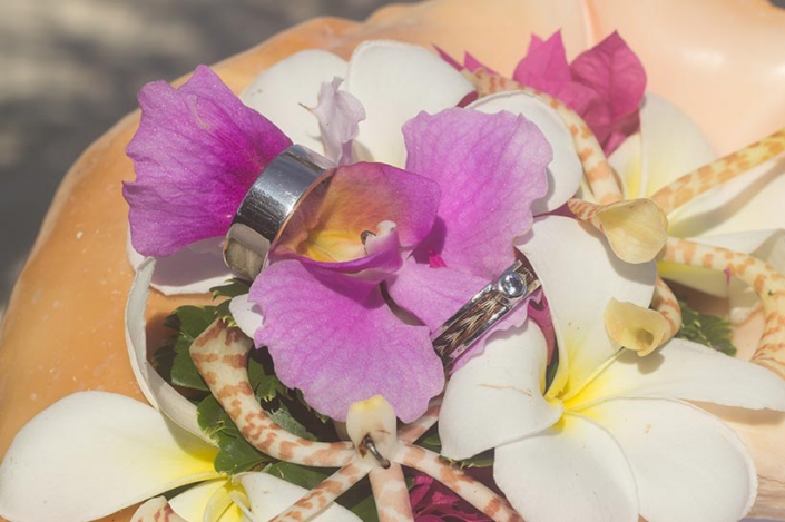 This photo shows wedding rings with sea shell